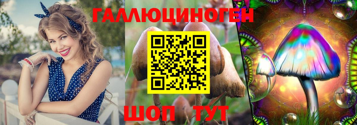 Галлюциногенные грибы MAGIC MUSHROOMS  где найти наркотики  Борзя  Вход с VPN 